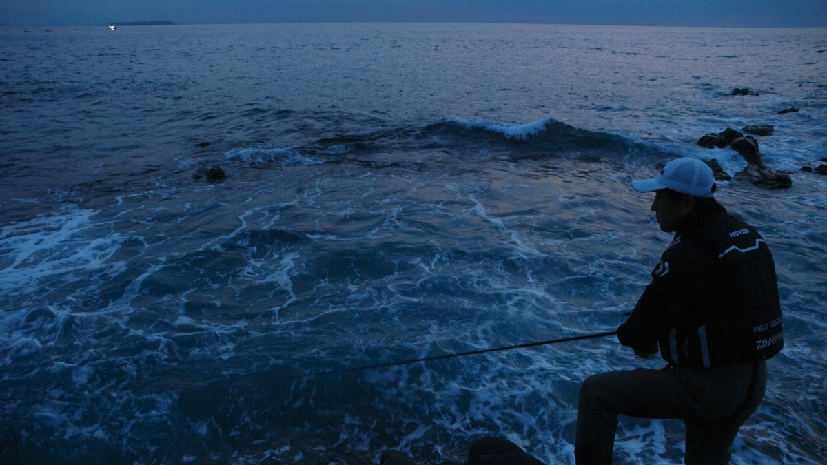 夜釣り入門】海面を照らすと魚が散る？大型が釣れるって本当？釣果を